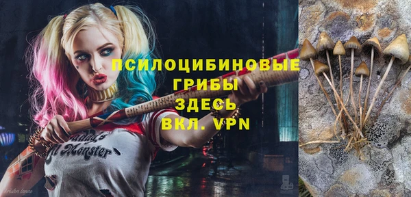 гашик Беломорск