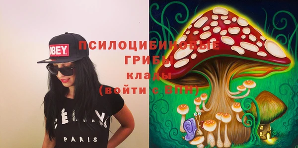 кокаин Богданович