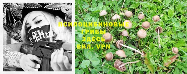 молекула духа Белокуриха